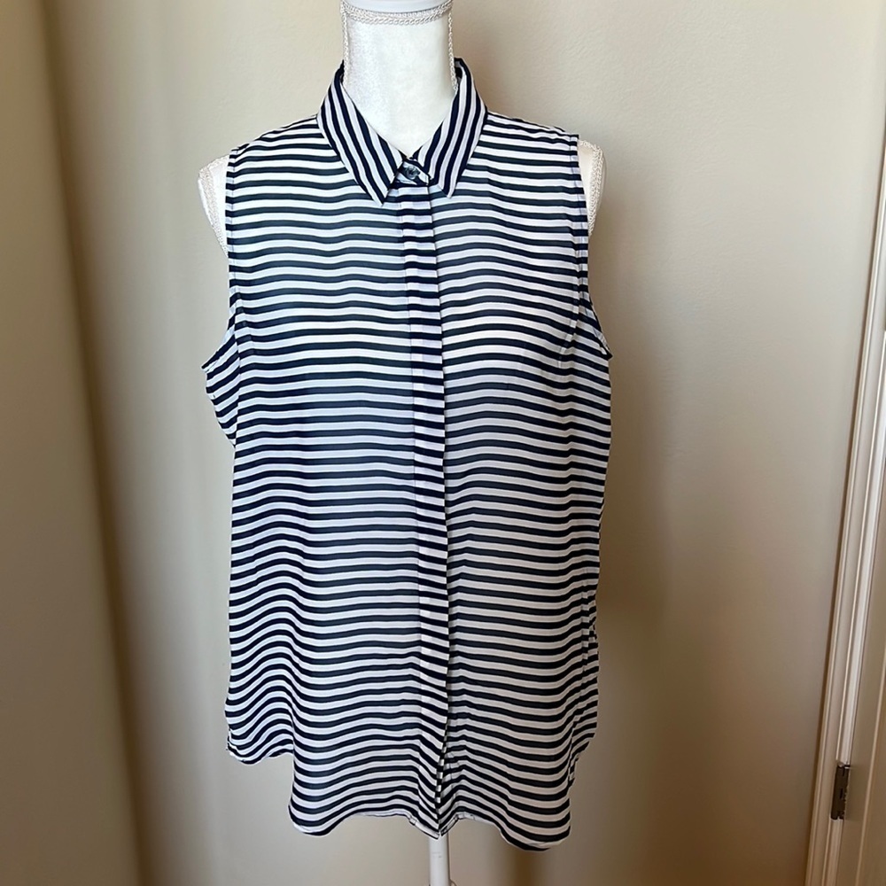 Banana Republic Sheer Top